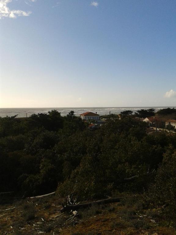 Hotel De La Petite Plage Saint-Georges-d'Oleron Exteriör bild